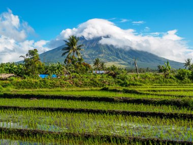 Mayon Volkanı Bicol, Filipinler