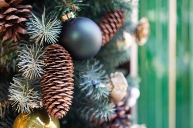 Çam kozalakları ve kibrit süslemeleri ile Noel Evergreen Sergisi. tatil geçmişleri, tebrik kartları ya da kış temalı.