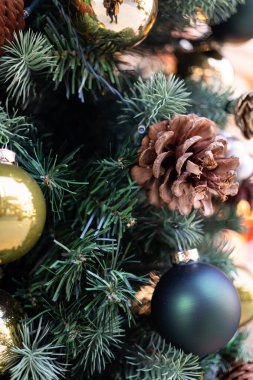 Çam kozalakları ve kibrit süslemeleri ile Noel Evergreen Sergisi. tatil geçmişleri, tebrik kartları ya da kış temalı.