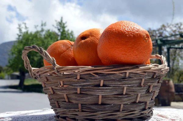 Mehrere biologische Orangen. — Stockfoto