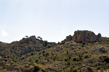 Kayalar üzerinde seen.