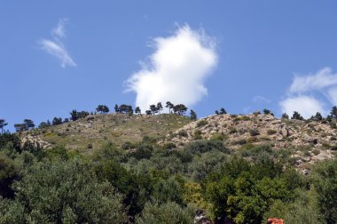 Kayalar üzerinde seen.