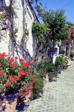 Çiçekli bir cephe.