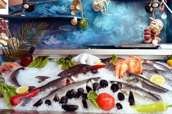 Display állványok, halak és tenger gyümölcsei. — Stock Fotó