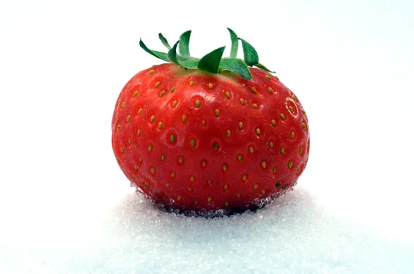 Fruit of succulence of strawberry chosen among the bottom — Stock Photo, Image