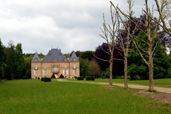 Voormalig kasteel in het bos met een pad van bomen. — Stockfoto