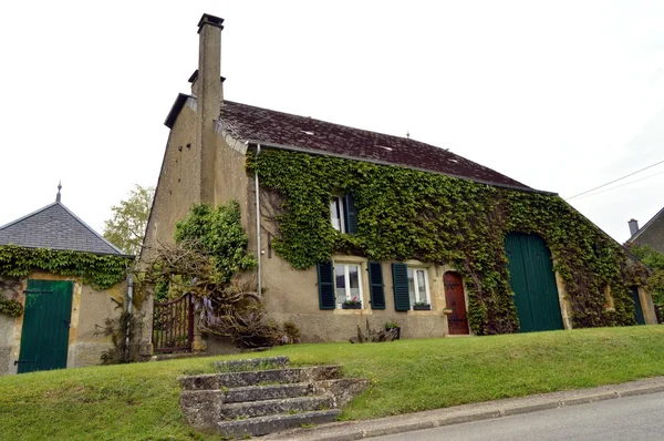 House with some ivy in facade and a vineyard. — Stock Photo, Image