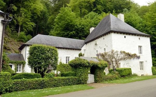 House with some ivy in facade and a vineyard. — Stock Photo, Image