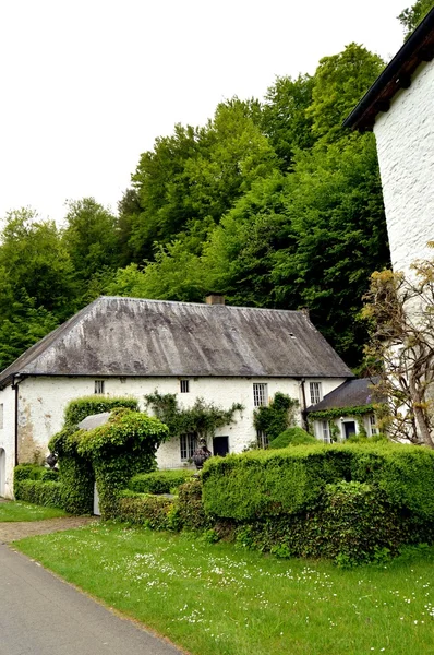 Casa con un poco de hiedra en fachada y un viñedo . —  Fotos de Stock