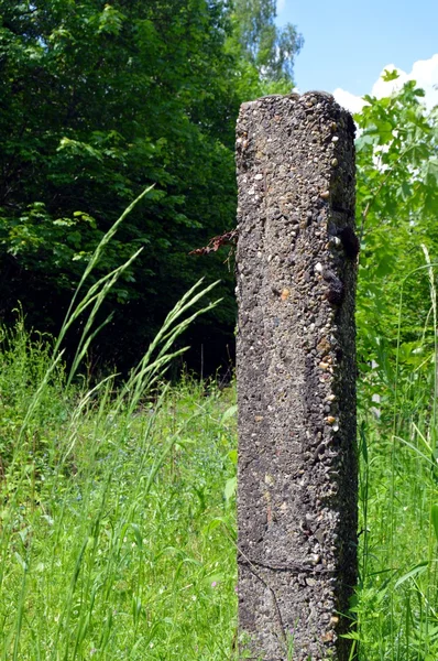 Egykori beton kerítés post. — Stock Fotó