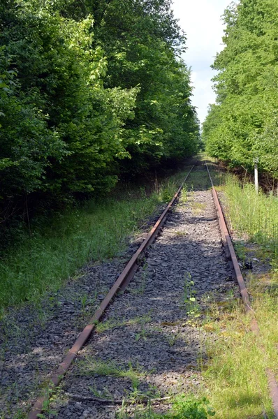 Via férrea abandonada  . — Fotografia de Stock