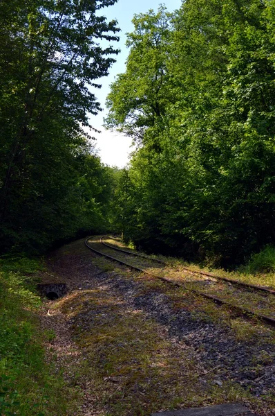 Via férrea abandonada . — Fotografia de Stock