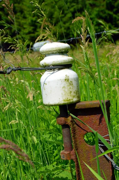 Porcelænsisolator på metalstave . - Stock-foto