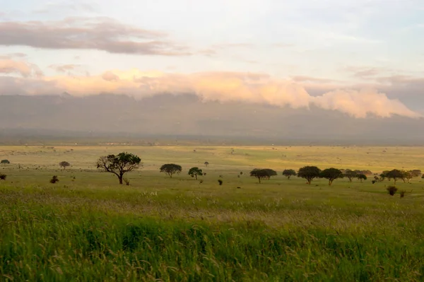 在肯尼亚Tsavo East国家公园的热带草原上空升起的日出 — 图库照片