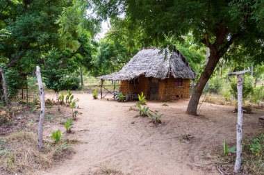 Güney Kenya, Afrika 'daki Watamu ormanlarında Zaramo tarzı evler.