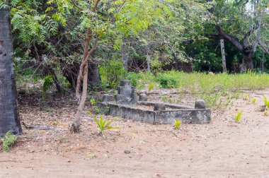 Kenya 'nın Gede kasabası yakınlarındaki bir köyde, ormanda mezar taşı.