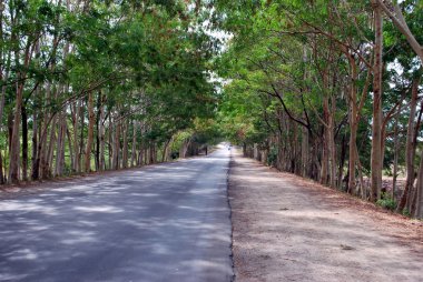 Bir yol ve Küba'da bir yol.