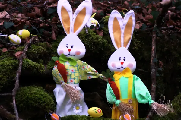 stock image Rabbits in wood.