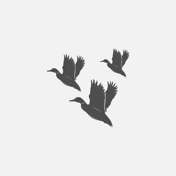 Flying ducks in grayscale Royalty Free Stock Vectors