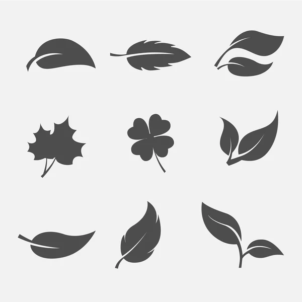 Colección de imágenes las hojas árboles y plantas — Vector de stock