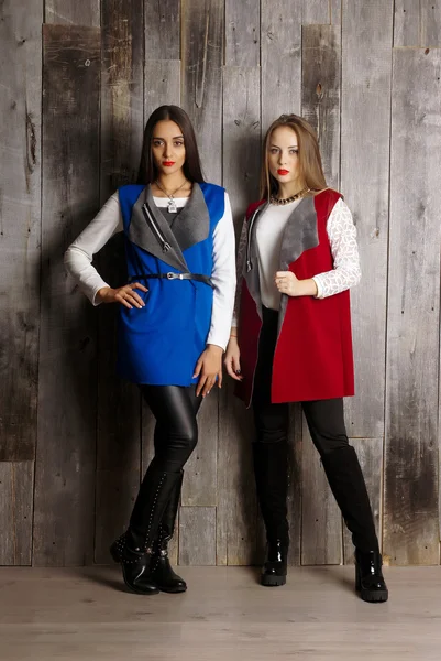 İki kız giyiyor hırka. İzole stüdyo portre — Stok fotoğraf