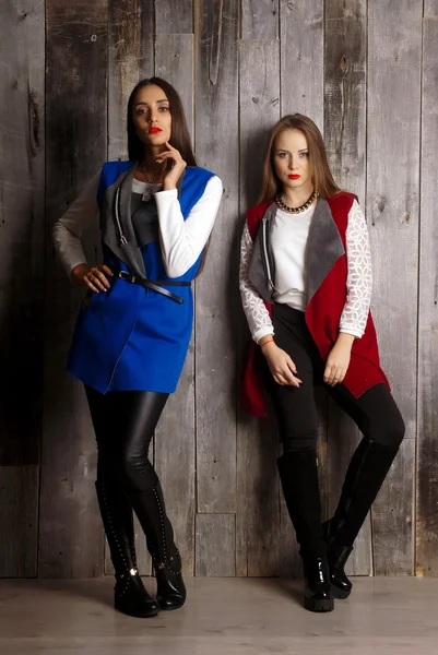 İki kız giyiyor hırka. İzole stüdyo portre — Stok fotoğraf
