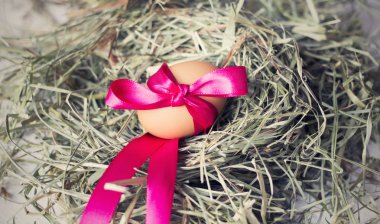 Saman yuva ve pembe fiyonk ile taze tavuk yumurta