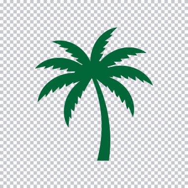 Kalın gövdeli ve yapraklı yeşil bir palmiye ağacının siluetini içeren vektör ögesi: Palmiye ağacı, siluet, yeşil,...