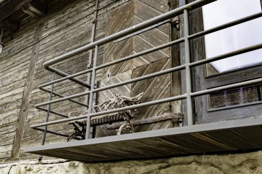 Koyu yeşil yapraklı, parlak güneş ışığıyla aydınlatılan bir çalılık üzerinde çeşitli gül kalçaları (bazıları kırmızı, bazıları sarı) dikey yakın çekim.