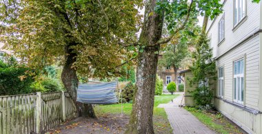 Çizgili kumaştan bir hamak, soluk yeşil bir evin yanında asfaltlı bir patika ve eski ahşap çitlerle kaplı bir evin arka bahçesindeki iki ağacın arasına dizilmiştir..