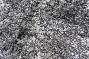 Yakından bakıldığında soyut desen ve doku, kurumuş beyaz ve koyu gri-siyah deniz yosunları ve lifleri tarafından oluşturulmuştur..