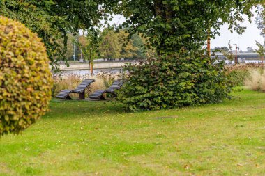 Büyük bir ağacın altına gizlenmiş modern ahşap güneş şezlonglarının, yemyeşil bir çimenliğin, yontulmuş çitlerin ve kısmen görülebilen lüks arabalı asfalt bir alanın yer aldığı sakin bir park..