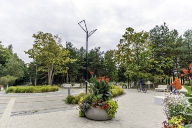 Çağdaş, kavisli ahşap ve beton banklar yeni asfaltlanmış bir park alanında ağaçlar ve yeşilliklerle çevrili dekoratif çiçekçiler..