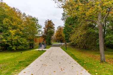 Yeşil çimenler ve ağaçlarla çevrili geniş asfalt bir park yolu, birden fazla beyaz ahşap banklar ve düşen yapraklar, sonbahar sezonunu işaret ediyor.