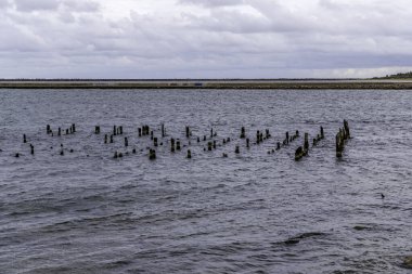 Baltık Denizi 'nin dalgalı gri suyundan çıkan çürüyen ahşap kümeler ufukta bulutlu bir gökyüzünün altında görülebilen uzun, düşük beton dalgalı su kümeleri..