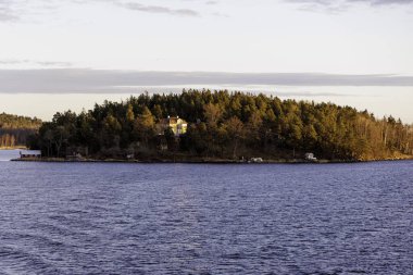 Küçük bir İskandinav takımadası adasındaki yoğun bir çam ormanına kurulmuş, sıcak, gün ışığıyla aydınlanan tenha bir evin manzarası..