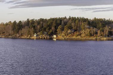 Ormanlık, kayalık İskandinav kıyı şeridi gözlerden uzak bir kulübe ve küçük, farklı bir navigasyon ışığı veya deniz feneri..