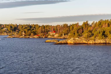 Engebeli, güneşten sırılsıklam olmuş, sık orman ve ağaçların arasına yerleşmiş geleneksel kırmızı ve beyaz ahşap evler, tipik İskandinav kıyıları..