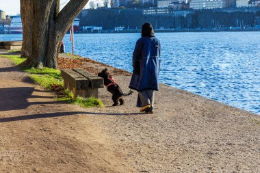 Uzun paltolu bir adam arka ayakları üzerinde duran küçük siyah bir köpekle rıhtım boyunca yürür, mavi suya ve uzak şehir manzarasına bakar..