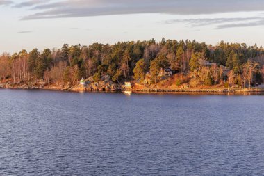 Ormanlık, kayalık İskandinav kıyı şeridi gözlerden uzak bir kulübe ve küçük, farklı bir navigasyon ışığı veya deniz feneri..
