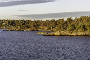 Engebeli, güneşten sırılsıklam olmuş, sık orman ve ağaçların arasına yerleşmiş geleneksel kırmızı ve beyaz ahşap evler, tipik İskandinav kıyıları..
