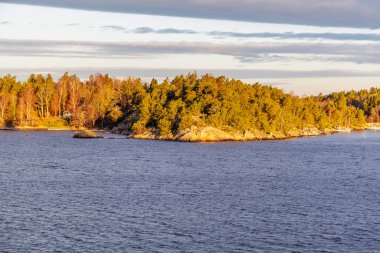 Derin mavi sularla çevrili, el değmemiş doğal güzellik ve jeolojiye odaklanmış, korunmasız, kayalık çıkıntıları olan, küçük, yoğun, çam ormanları olan bir adaya yakın plan..