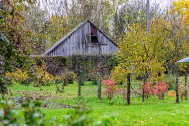 Kırsal alanda, bulutlu bir sonbahar gününde eski, yıpranmış ahşap bir ahşap bahçe ağaçları ve çalıların arasından bir manzara..
