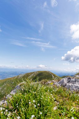 Wide panorama of a winding hiking trail on a lush green mountain ridge under a blue sky. Ideal for outdoor recreation and travel marketing.