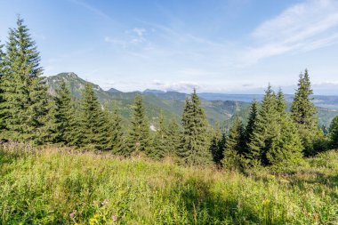 Dağ sırasının geniş bir manzarası var. Önünde yeşil ladin ağaçları ve yemyeşil bir çayırlık var..