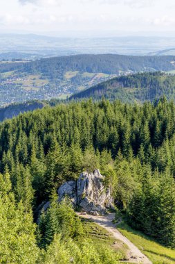 Dağ yolu boyunca uzanan eşsiz bir kaya oluşumunun ayrıntılı bir görüntüsü, arka planda vadisi olan sık ve yeşil bir ormanla çevrili..