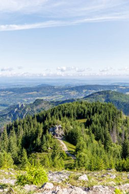 Kireçtaşı şekilli bir dağ ormanının dikey görüntüsü ve mavi gökyüzünün altındaki geniş bir vadiye bakan bir patika..