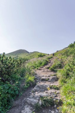 Dar kayalık bir yolun alçak açılı görüntüsü açık bir gökyüzünün altında yeşil bir dağ yamacına tırmanıyor ve uzaktaki yürüyüşçüler....