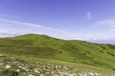 Uçsuz bucaksız, çimenli dağ sırtları ve parlak mavi gökyüzünün altında yuvarlanan yeşil tepeler. Yumuşak beyaz bulutlar..