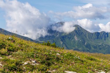 Yaban çiçekleriyle dolu yeşil bir yamacın güzel manzarası bulutlarla kaplanmış devasa bir dağ zirvesine bakıyor..